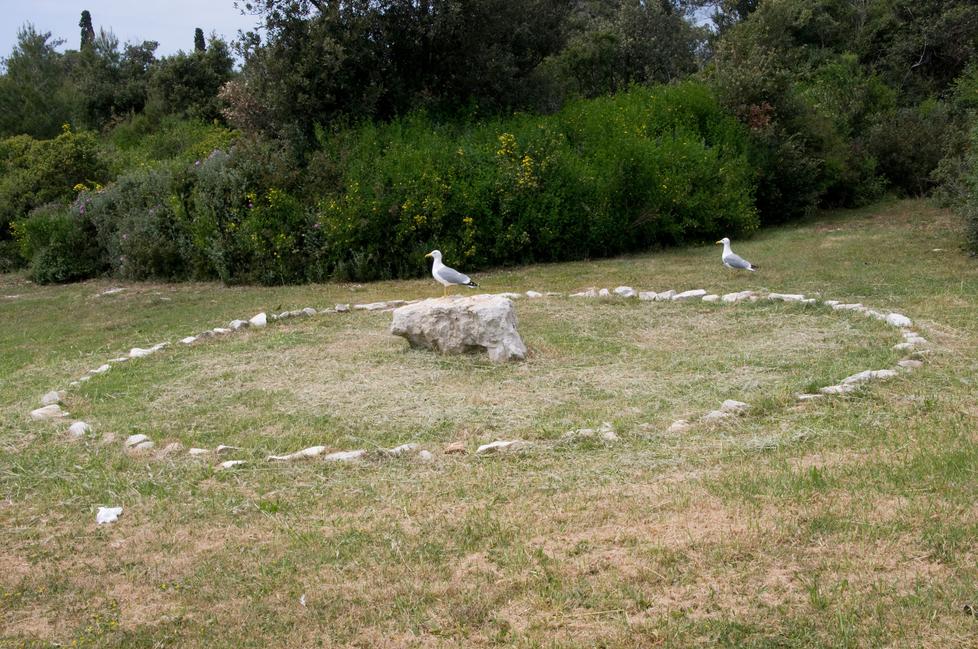 The Tiger The Object and The Ball 