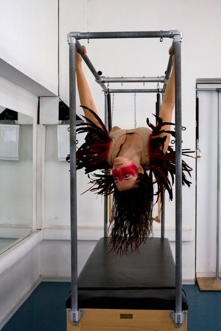 The Tiger The Object and The Ball 