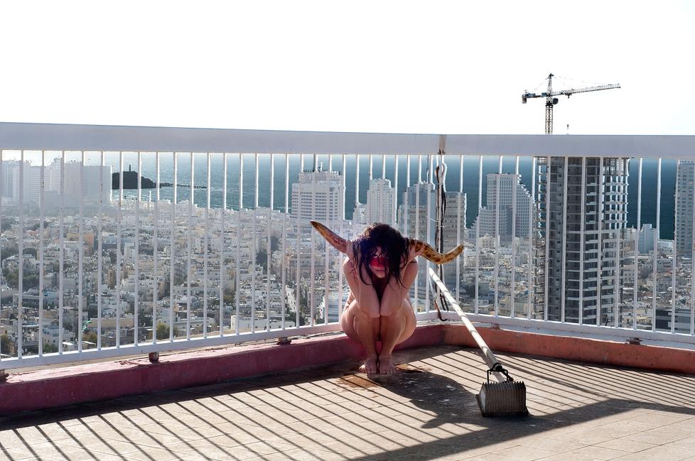 The Tiger The Object and The Ball 