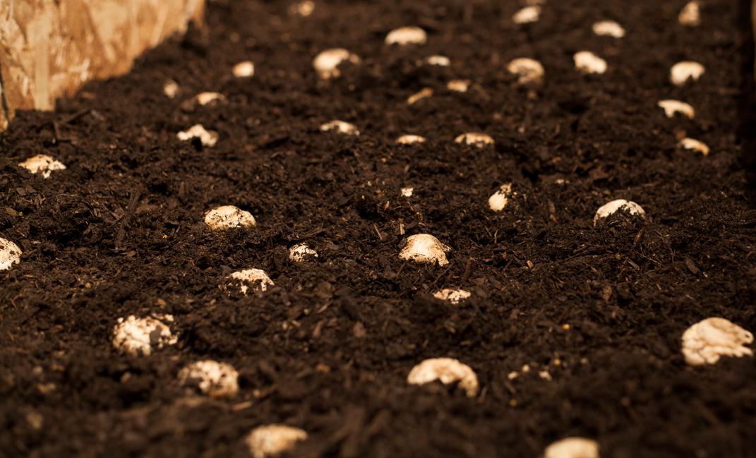 They Broke The Mold When They Made Her