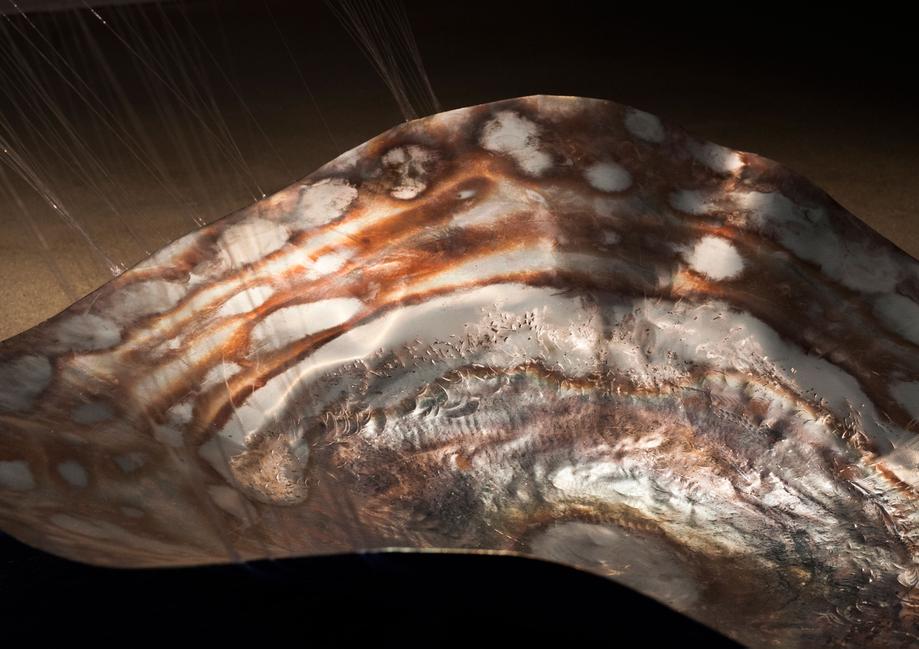 You came for us, We are going for us